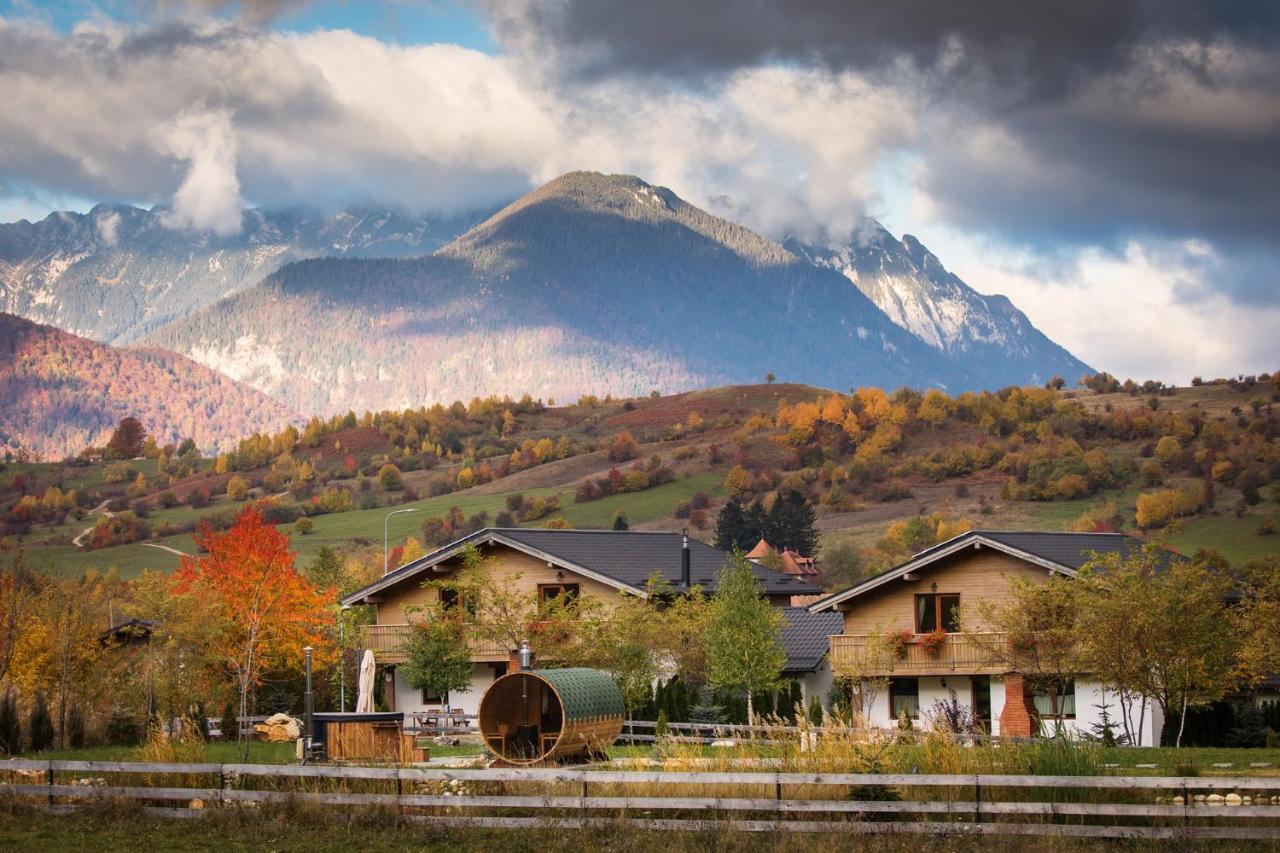 Green Resort Bran Бран Экстерьер фото